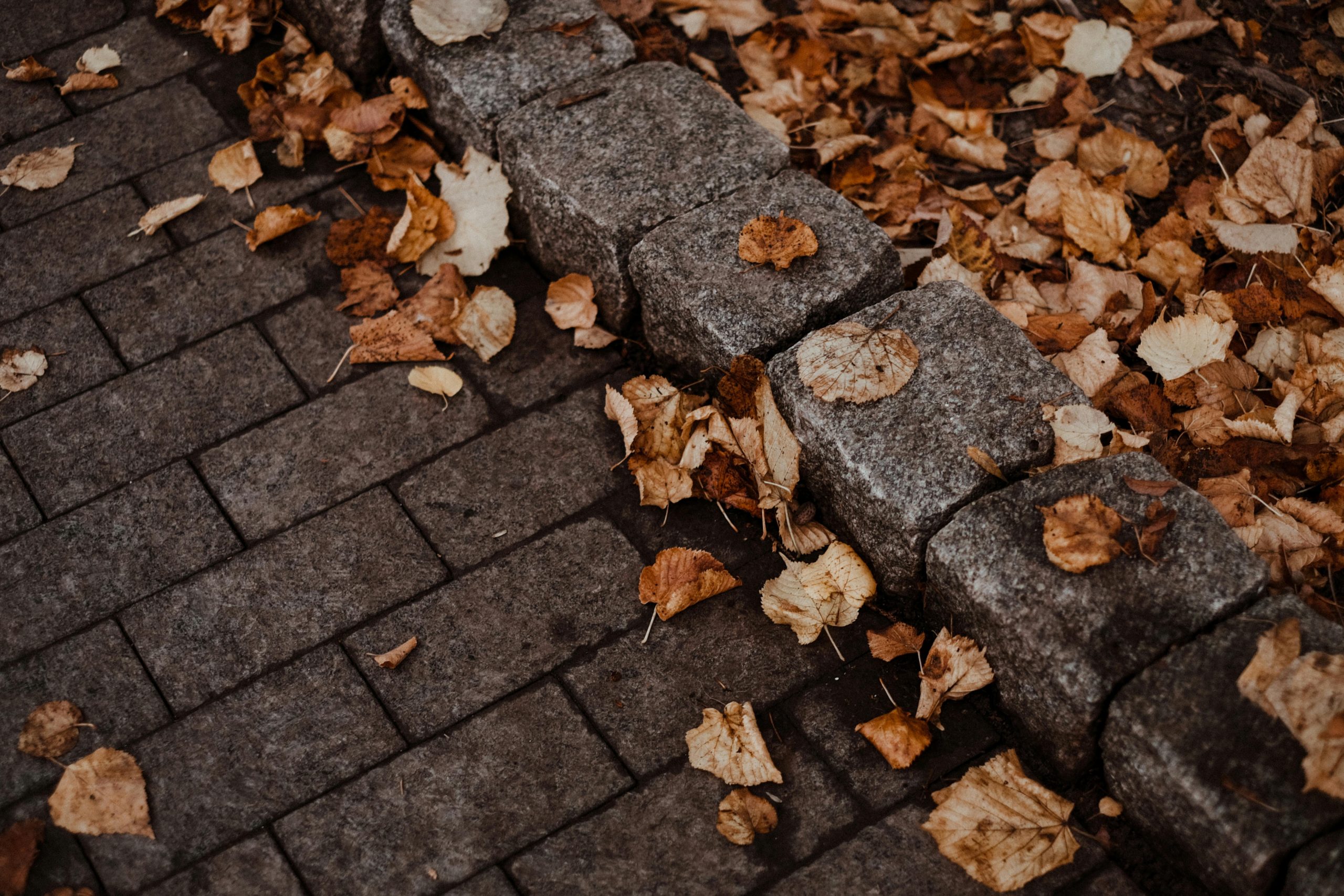 Dried brown leaves scattered on stone paving, capturing the essence of autumn outdoors.